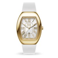 Watch Ice Watch Woman in Steel 024 049 - 024 049